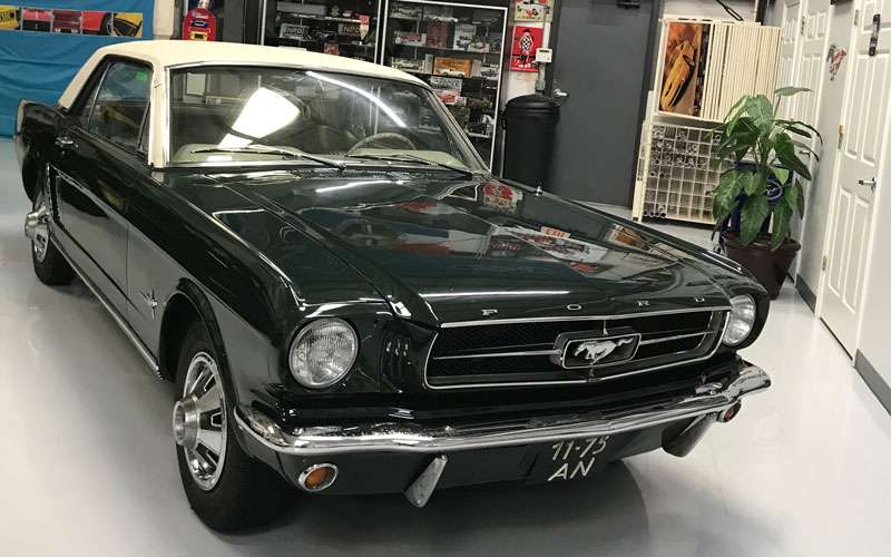 amsterdamse-mustang